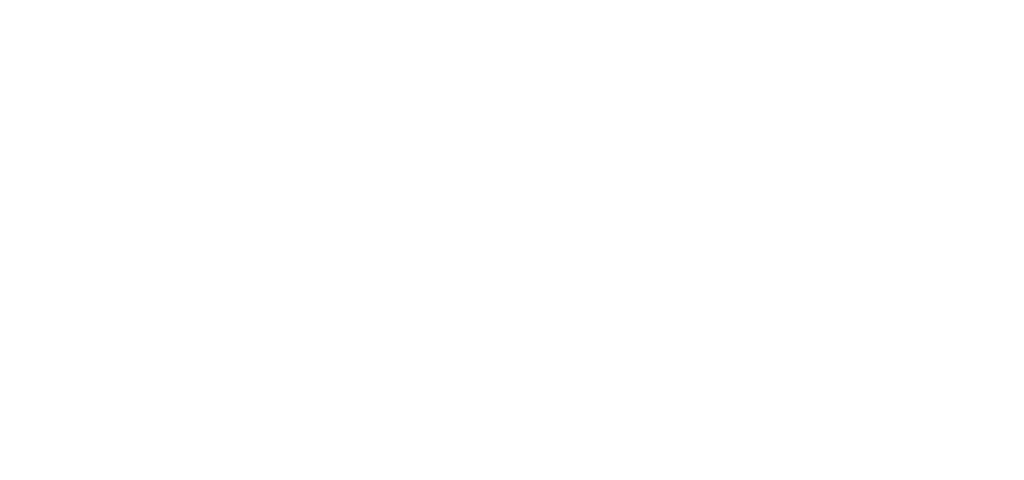 Brand Standards - REDI Transports